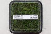 ADA 孔雀莫絲 Taxiphillum sp. 'Peacock moss'  BS813